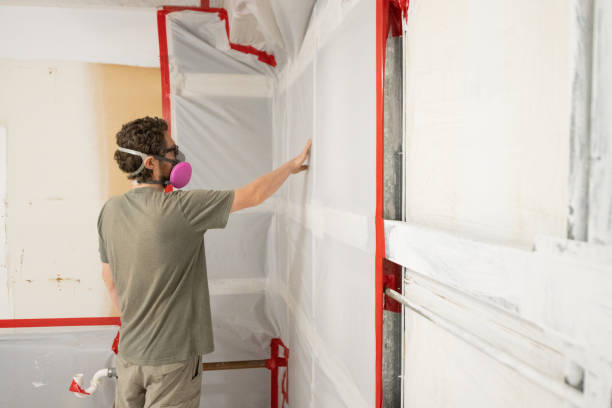 Best Mold Damage Restoration  in Gore, OK
